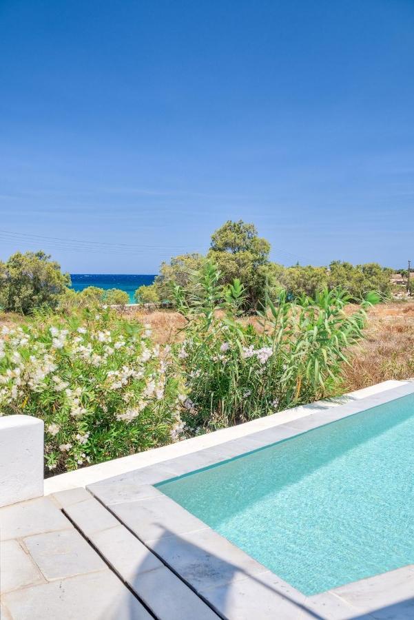 Villa Yialos Antiparos Town エクステリア 写真
